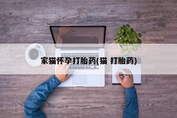 米非米索在线购买微信家猫怀孕打胎药(猫 打胎药)